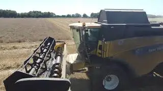 Moisson 2020 New Holland CX840 7m30 de coupe MF 6716S Benne Brochard 16t