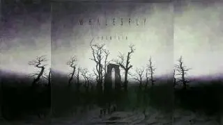 WHΛLESFLY - FOUNTΛIN (WITCH HOUSE)