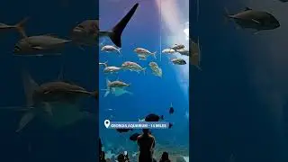 Adventure in Lithia Springs, GA - My Place Hotels!