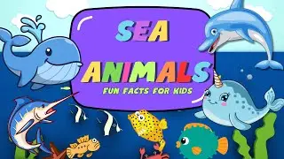 34 Amazing Sea Animals Names & Fun Facts for Kids | Ocean Animals Learning Video