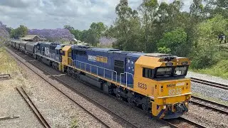 Pacific National&rsquo;s 8233 & 8254 at East Maitland - 31/10/25
