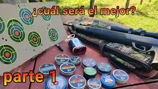 Probando diferentes diabolos en el GAMO G MAGNUM (30m y 50m)