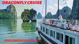 Dragonfly Cruise