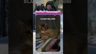 Lapeni Oblezini😁🐱| twitch.tv/neonpsh - розыгрыши и турниры каждый месяц!