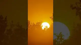 Beautiful Sun up during sunrise 😻✨😍  #shorts