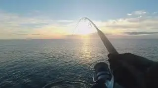 SHORE JIGGING shore gun evolv e cast hacker Savage Gear