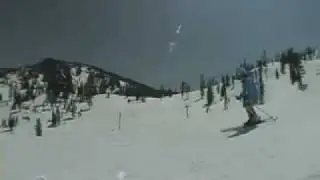 2009 LINE CELEBRITY SKI REVIEW