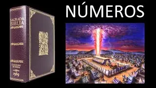 04.  Números