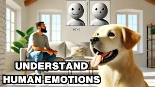 Can Dogs Recognize Facial Expressions? Explained