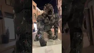Gorilla!!#vlog #dailyvlog #cool #travel #cute #funny #cute #animals #gorilla #wow #california #usa