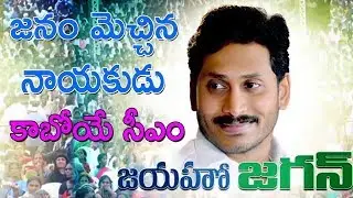 YS Jagan Victory In Electoons  Special  Video | Ys Jagan Song |  TFCCLIVE