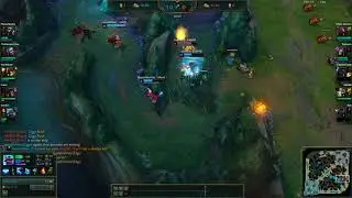 The saga of the warded bush