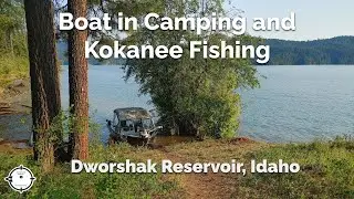 Dworshak Reservoir Boat in Camping and Fishing | An Idaho Adventure