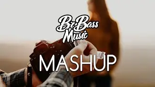 IMMORTAL VOW (BrBass Mashup)