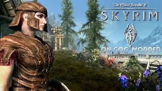 Let's Play Skyrim SE - GOG, Modded - Bleak Falls Barrow