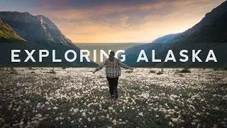 Hiking in Alaska's Backcountry : Possibly Found GOLD!