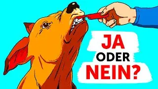 Dinge, die verantwortungsvolle Hundehalter ihrem Hund nie antun würden