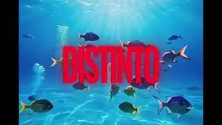 CONTIGO SIN MIEDO | Latin Trap Love Song (Lyric Video)