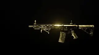 Got the Gold Camo for the M4