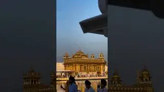 O templo dourado da &Iacute;ndia que flutua na &aacute;gua #shorts #goldentemple #india #viagem #templo