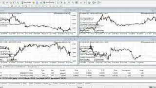 GPS Forex Robot - Introduction Video