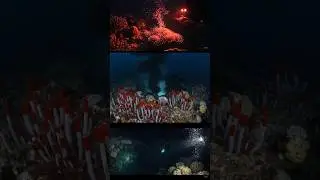 Untamed Depths: Breathtaking Underwater Worlds 🌊🐠 AI Nature Short  #underwaterworld  #oceanshorts