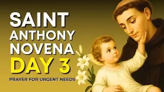 Day 3 &ndash; Urgent Needs: Saint Anthony Novena
