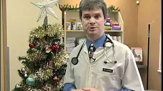 Pet safety at Christmas