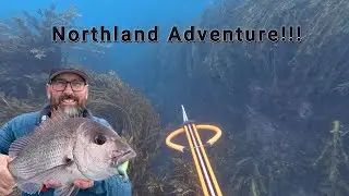 Awesome Winter Softbaiting and Spearfishing!! | Tutukaka Coast | NZ