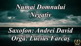 NEGATIV - NUMAI DOMNULUI
