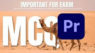 Important premiere Pro MCQ for exams | most important MCQ of premiere Pro