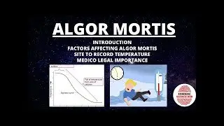 Algor Mortis  The Cold Truth of Death
