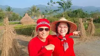 美濃民俗村 稻草藝術 澄蜜採收樂