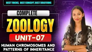 #3 UNIT 7 | Human chromosomes and pattern of Inheritance | Pedigree analysis #StudyXpert