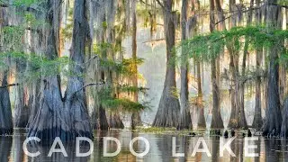 Caddo lake| State park| Boat Tour|Road Trip|Kayaking| Dragonfly| Uncertain TX|RGVlog|