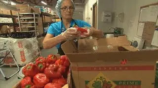 How food therapy helps control diabetes