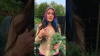 What the kale?