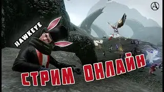 Боец ближнего боя в крите [промо - HWK]