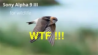 Sony Alpha 9 III for Wildlife  WTF !!