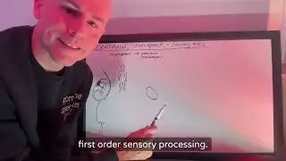 White Board Series: Serotonin's Role in Development for Sensory Maps (not mood)