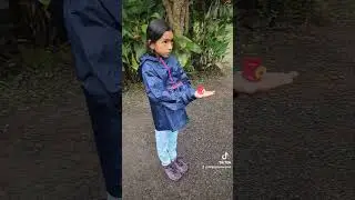 Alambi Reserve, Ecuador. Un lugar ideal para la observaci&oacute;n de aves (30 especies de colibr&iacute;es)