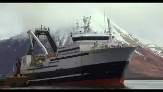 Остановить прилов трала