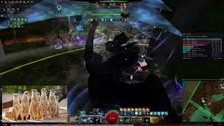 GW2 WsR Party Cave