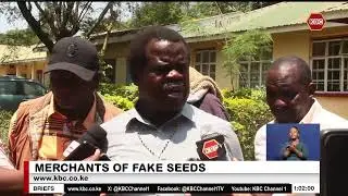 160 bags of fake bean seeds and unmarked bags of cotton seeds nabbed in Busia