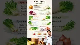 Виды лука. #польза #питание #лук