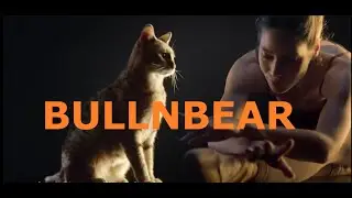 Purina Pro Plan Megabrand Cat spot 2025 pubblicit&agrave; agosto