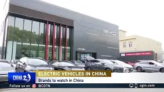 China's Booming Electric Vehicle Market