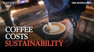 The real cost of coffee: Balancing productivity and sustainability