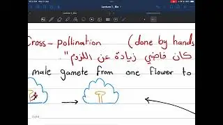 Mendelian genetics part one
