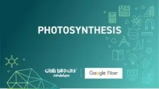 Photosynthesis STEM KIDS Online Workshop: Photosynthesis Presented by Craft Lake City & Google Fiber
